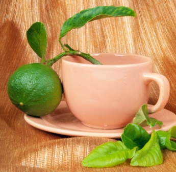 bergamot fruit and tea cup  |  photo: © Irina Magrelo | Dreamstime.com
